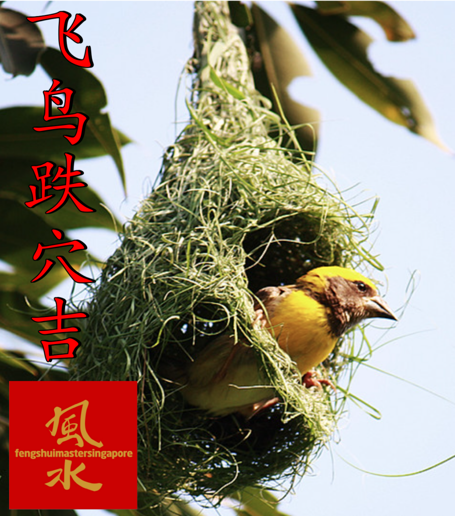 feng shui 2023 north sector